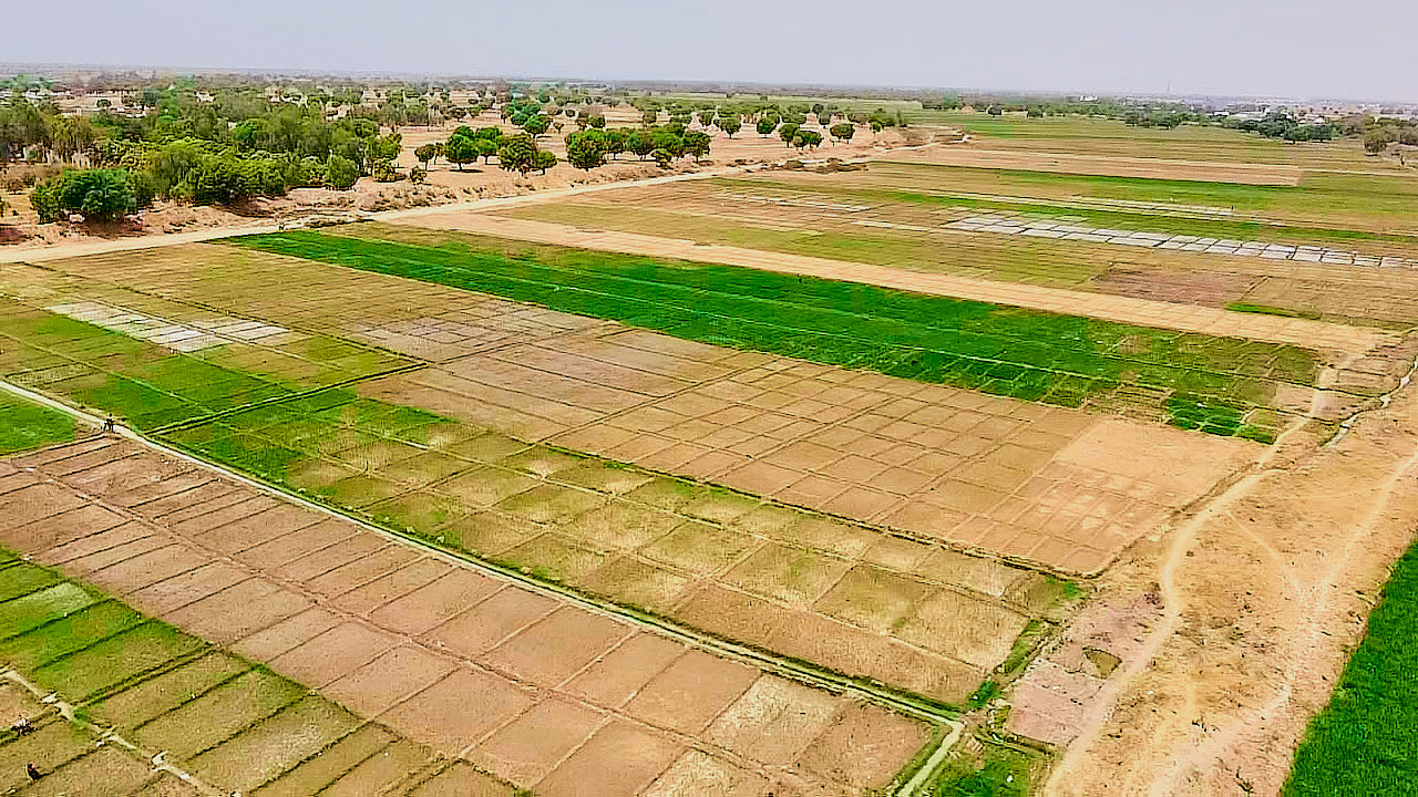 J-ATA Organizational Structure