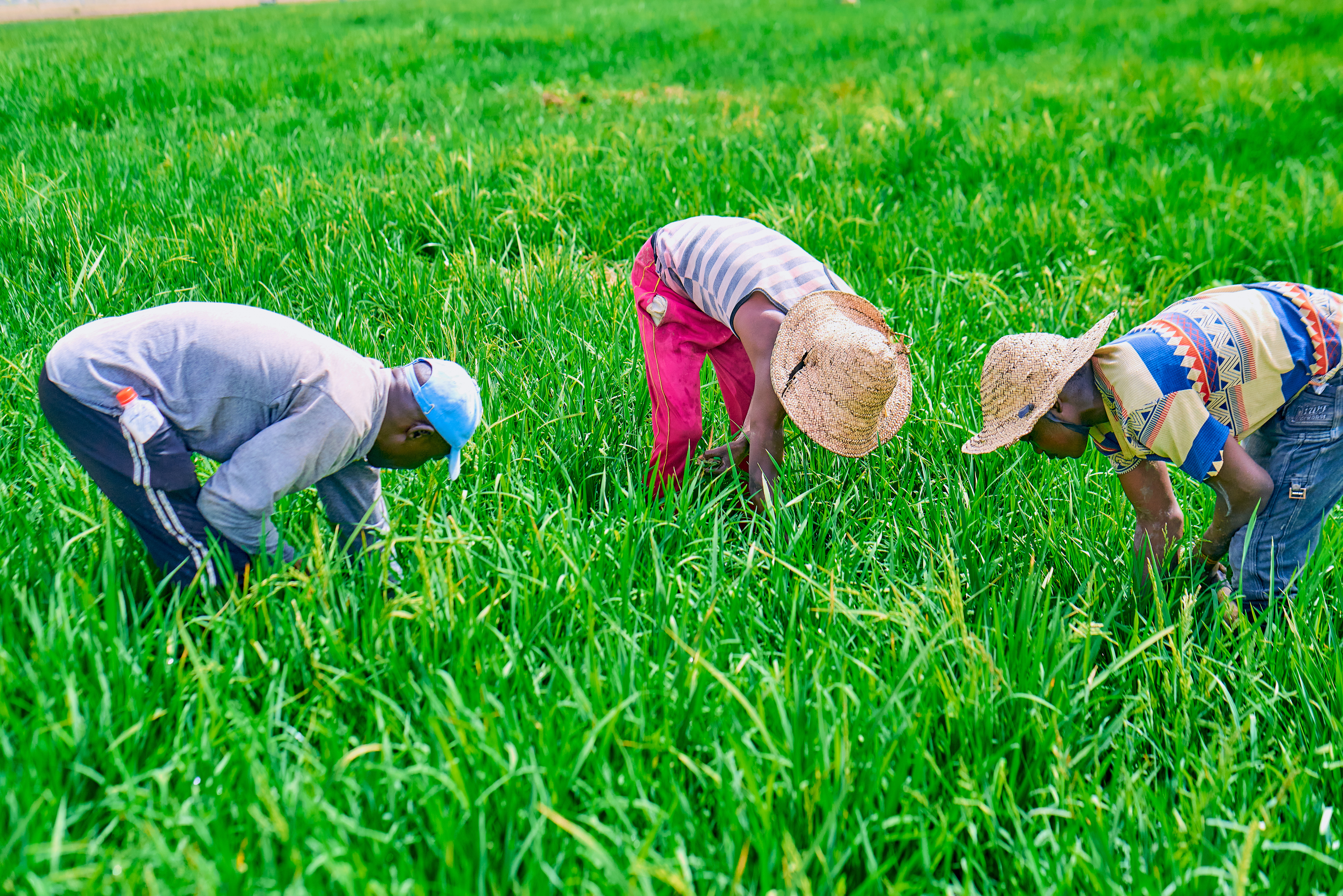 Extension System Strengthening